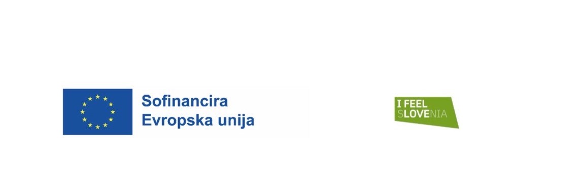 Logo eu i feel